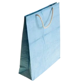 BV Squares Pvt Ltd-Shopping Paper Bag